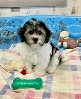 processed/6b8f1ba0-53c4-44aa-9a40-96ba513b41a5/listing/226b4719-50ca-447a-b395-a0d2ca978f16/213c2046-f724-4d2e-a3ed-ed17fcd7d8a7