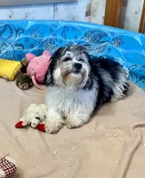 processed/6b8f1ba0-53c4-44aa-9a40-96ba513b41a5/listing/226b4719-50ca-447a-b395-a0d2ca978f16/2dc2a6c8-fcd8-4dcc-a894-f381a9ee6101