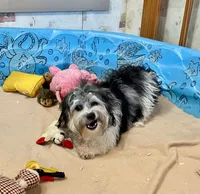 processed/6b8f1ba0-53c4-44aa-9a40-96ba513b41a5/listing/226b4719-50ca-447a-b395-a0d2ca978f16/e110595d-27c3-43d9-94f4-6bd07275db72