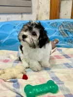 processed/6b8f1ba0-53c4-44aa-9a40-96ba513b41a5/listing/226b4719-50ca-447a-b395-a0d2ca978f16/e2a8a2ac-632b-4459-b989-b1dba8852b10