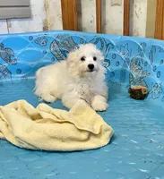 processed/6b8f1ba0-53c4-44aa-9a40-96ba513b41a5/listing/2fe12aa5-e045-4e4d-a93c-d3403c5b311c/0224963f-ce8e-4d5c-af30-99ff52382b03