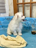 processed/6b8f1ba0-53c4-44aa-9a40-96ba513b41a5/listing/2fe12aa5-e045-4e4d-a93c-d3403c5b311c/26082090-f12c-461a-9fe2-28bad82c4cf4