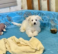 processed/6b8f1ba0-53c4-44aa-9a40-96ba513b41a5/listing/2fe12aa5-e045-4e4d-a93c-d3403c5b311c/671c5519-7b31-4e95-9c28-20be1f967e49