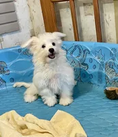 processed/6b8f1ba0-53c4-44aa-9a40-96ba513b41a5/listing/2fe12aa5-e045-4e4d-a93c-d3403c5b311c/7766ce65-5ab7-4bc5-af4c-5b1d1696e47d