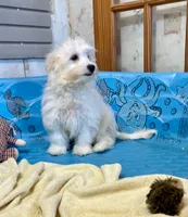 processed/6b8f1ba0-53c4-44aa-9a40-96ba513b41a5/listing/2fe12aa5-e045-4e4d-a93c-d3403c5b311c/b0ef090d-b9e0-4bbd-891e-a51ce32d64b6