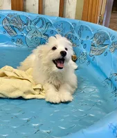 processed/6b8f1ba0-53c4-44aa-9a40-96ba513b41a5/listing/2fe12aa5-e045-4e4d-a93c-d3403c5b311c/be9d687f-0853-4910-8f9f-fd13b280a9ed