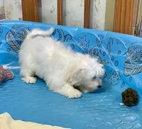 processed/6b8f1ba0-53c4-44aa-9a40-96ba513b41a5/listing/2fe12aa5-e045-4e4d-a93c-d3403c5b311c/e1ea4f8a-ffff-468c-8f1c-c6555e4c2582