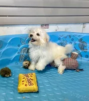 processed/6b8f1ba0-53c4-44aa-9a40-96ba513b41a5/listing/36b3c08b-8f9e-4d6f-89a1-cacbb5c7e14e/11d8af82-cabb-49d0-b47d-8994e31e6608