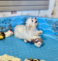 processed/6b8f1ba0-53c4-44aa-9a40-96ba513b41a5/listing/36b3c08b-8f9e-4d6f-89a1-cacbb5c7e14e/186650c0-a599-4c53-8532-d597a65d7b8c