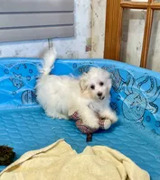 processed/6b8f1ba0-53c4-44aa-9a40-96ba513b41a5/listing/36b3c08b-8f9e-4d6f-89a1-cacbb5c7e14e/26c9caca-57c0-4185-8dc3-912971f6ec55