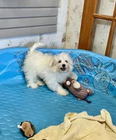 processed/6b8f1ba0-53c4-44aa-9a40-96ba513b41a5/listing/36b3c08b-8f9e-4d6f-89a1-cacbb5c7e14e/479bb5f9-d8c7-40e5-aa56-1b361d5309cb