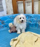 processed/6b8f1ba0-53c4-44aa-9a40-96ba513b41a5/listing/36b3c08b-8f9e-4d6f-89a1-cacbb5c7e14e/789639a7-2725-4dec-8aa2-30eb70fca5b8