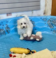 processed/6b8f1ba0-53c4-44aa-9a40-96ba513b41a5/listing/36b3c08b-8f9e-4d6f-89a1-cacbb5c7e14e/eecb9bab-3459-4233-af05-641b6d8169b8