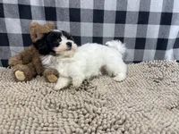 processed/6b8f1ba0-53c4-44aa-9a40-96ba513b41a5/listing/497109da-31ec-4fc5-b2a3-f2c87d01ae98/09c30ff2-c11d-4e0d-a9e4-a86dfd1dff79