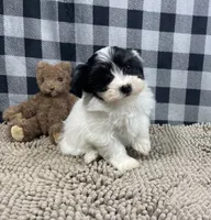 processed/6b8f1ba0-53c4-44aa-9a40-96ba513b41a5/listing/497109da-31ec-4fc5-b2a3-f2c87d01ae98/4dcbd6dc-e09c-4b5d-b6a1-d9c5e8111591