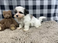 processed/6b8f1ba0-53c4-44aa-9a40-96ba513b41a5/listing/50e7a732-ecfc-4566-b875-5589cd0b3c1f/143751a2-5b36-4e80-865d-f49d335b431f