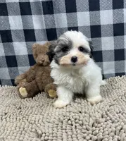 processed/6b8f1ba0-53c4-44aa-9a40-96ba513b41a5/listing/50e7a732-ecfc-4566-b875-5589cd0b3c1f/2faa613d-7ac6-407c-bda9-8e09cfa3861b