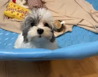 processed/6b8f1ba0-53c4-44aa-9a40-96ba513b41a5/listing/50e7a732-ecfc-4566-b875-5589cd0b3c1f/381eb3d9-0dab-4825-a843-969f3b710591