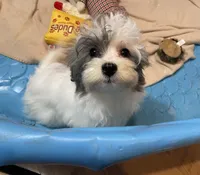 processed/6b8f1ba0-53c4-44aa-9a40-96ba513b41a5/listing/50e7a732-ecfc-4566-b875-5589cd0b3c1f/7386eae4-9109-420f-b0d9-e91d371bd713