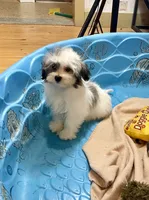 processed/6b8f1ba0-53c4-44aa-9a40-96ba513b41a5/listing/50e7a732-ecfc-4566-b875-5589cd0b3c1f/a4bd582d-87a6-4235-a7ef-33d45460bdd0