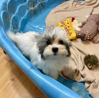 processed/6b8f1ba0-53c4-44aa-9a40-96ba513b41a5/listing/50e7a732-ecfc-4566-b875-5589cd0b3c1f/d0a33f69-bf94-49a3-98b6-cea976e240df