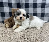 processed/6b8f1ba0-53c4-44aa-9a40-96ba513b41a5/listing/50e7a732-ecfc-4566-b875-5589cd0b3c1f/ef67ec13-fd3b-4320-ab16-588f93f69922