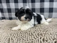 processed/6b8f1ba0-53c4-44aa-9a40-96ba513b41a5/listing/62c9ad37-458c-4df9-a0d5-42a5c6f1da7d/00d67b23-2b50-487a-adfb-6699528dda79