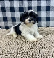 processed/6b8f1ba0-53c4-44aa-9a40-96ba513b41a5/listing/62c9ad37-458c-4df9-a0d5-42a5c6f1da7d/03a4b944-5339-49a1-862d-c136d15564c2