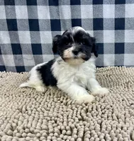 processed/6b8f1ba0-53c4-44aa-9a40-96ba513b41a5/listing/62c9ad37-458c-4df9-a0d5-42a5c6f1da7d/1630df54-1a43-48c6-ae59-c03004c98595