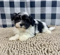 processed/6b8f1ba0-53c4-44aa-9a40-96ba513b41a5/listing/62c9ad37-458c-4df9-a0d5-42a5c6f1da7d/6c1f9807-e4cd-46be-bd2f-669252cb1568