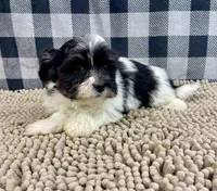 processed/6b8f1ba0-53c4-44aa-9a40-96ba513b41a5/listing/62c9ad37-458c-4df9-a0d5-42a5c6f1da7d/b96aad85-0b93-4429-bc6c-4ef1db3d6e8a