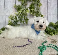 processed/6b8f1ba0-53c4-44aa-9a40-96ba513b41a5/listing/900fb0bc-d85a-4c14-b5c8-ff997d947bc1/1789c9e3-0f47-4375-8ffe-836dea5101a9