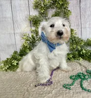 processed/6b8f1ba0-53c4-44aa-9a40-96ba513b41a5/listing/900fb0bc-d85a-4c14-b5c8-ff997d947bc1/3a271af9-4bc5-42ca-9a3b-021568a9244b