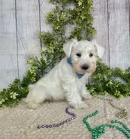 processed/6b8f1ba0-53c4-44aa-9a40-96ba513b41a5/listing/900fb0bc-d85a-4c14-b5c8-ff997d947bc1/8d5740c9-e41b-4471-87d8-167fd009bc21