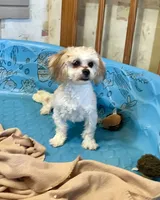 processed/6b8f1ba0-53c4-44aa-9a40-96ba513b41a5/listing/90a7efe7-f3d7-4f7e-92ab-0ece70860011/332fad14-6c3c-47bf-9dcf-13051518b86a