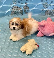 processed/6b8f1ba0-53c4-44aa-9a40-96ba513b41a5/listing/90a7efe7-f3d7-4f7e-92ab-0ece70860011/92de1889-b876-42ee-a957-7e9752b6adf4