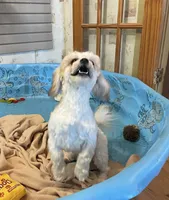 processed/6b8f1ba0-53c4-44aa-9a40-96ba513b41a5/listing/90a7efe7-f3d7-4f7e-92ab-0ece70860011/c4f7cea3-4625-44d2-b778-8310bf326423