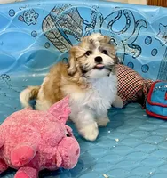 processed/6b8f1ba0-53c4-44aa-9a40-96ba513b41a5/listing/90a7efe7-f3d7-4f7e-92ab-0ece70860011/ca4d9f0b-0a9c-48b9-bdd1-cc093213bf7c