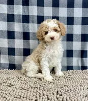 processed/6b8f1ba0-53c4-44aa-9a40-96ba513b41a5/listing/9381402f-5781-437a-8909-ad771c031f68/8bda18ad-541a-4e11-8cc2-df65345741a4