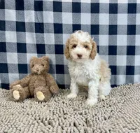 processed/6b8f1ba0-53c4-44aa-9a40-96ba513b41a5/listing/9381402f-5781-437a-8909-ad771c031f68/d2e1557b-214b-4a64-bf18-db10bf839f5b