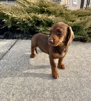 processed/6b8f1ba0-53c4-44aa-9a40-96ba513b41a5/listing/a84f9d34-7111-4ab9-8052-8d645ee42100/1a113428-008c-40a1-b200-f4e8ca48e7f6