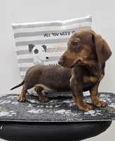 processed/6b8f1ba0-53c4-44aa-9a40-96ba513b41a5/listing/a84f9d34-7111-4ab9-8052-8d645ee42100/67bc6030-d15d-468a-a0d3-ff635800680c