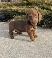 processed/6b8f1ba0-53c4-44aa-9a40-96ba513b41a5/listing/a84f9d34-7111-4ab9-8052-8d645ee42100/7d7eed9c-8fe3-4ff9-9643-9043129b0216