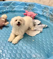 processed/6b8f1ba0-53c4-44aa-9a40-96ba513b41a5/listing/a92de7dc-bd93-4de9-9a56-3480a3c7a7cf/21795cbf-8fff-4eae-bc4e-add80342a7f9