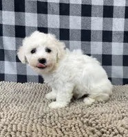 processed/6b8f1ba0-53c4-44aa-9a40-96ba513b41a5/listing/a92de7dc-bd93-4de9-9a56-3480a3c7a7cf/2ebafee2-947f-4e82-99f2-cb417c7494a3