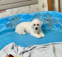 processed/6b8f1ba0-53c4-44aa-9a40-96ba513b41a5/listing/a92de7dc-bd93-4de9-9a56-3480a3c7a7cf/3d95fca8-7121-4f6d-b363-72962140d81b