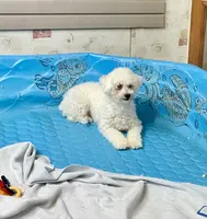 processed/6b8f1ba0-53c4-44aa-9a40-96ba513b41a5/listing/a92de7dc-bd93-4de9-9a56-3480a3c7a7cf/eb772cb7-0b2c-43c3-9ffa-091587ae1ffc