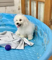 processed/6b8f1ba0-53c4-44aa-9a40-96ba513b41a5/listing/a97e6831-db94-4f54-8b55-a406fd43a9dc/1c405ad3-b569-4356-9df8-1067c6ff48da