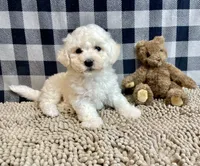 processed/6b8f1ba0-53c4-44aa-9a40-96ba513b41a5/listing/a97e6831-db94-4f54-8b55-a406fd43a9dc/4615b177-0fb5-4e45-a31c-d54ea171a287