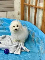 processed/6b8f1ba0-53c4-44aa-9a40-96ba513b41a5/listing/a97e6831-db94-4f54-8b55-a406fd43a9dc/789c4d6b-e7f1-4f0b-b898-a85704ee60fd